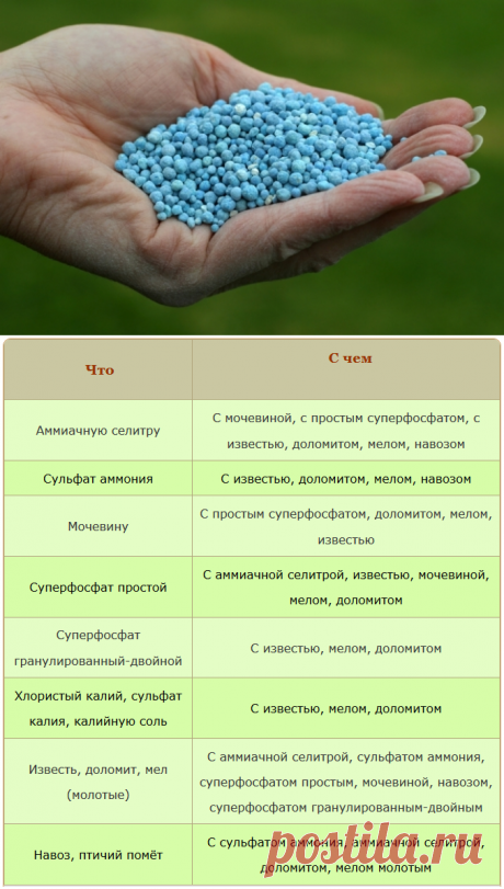 Какие удобрения нельзя смешивать » Женский Мир