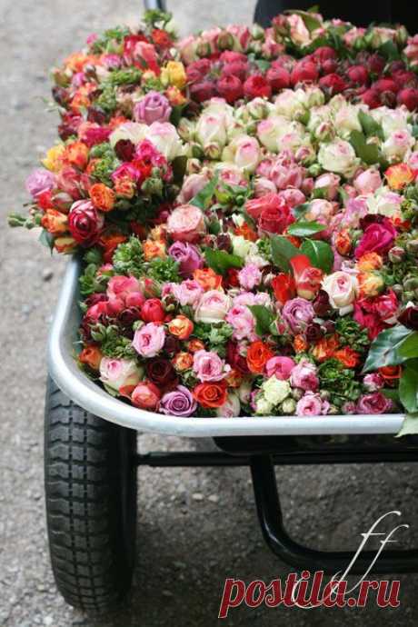 Flowers in the car