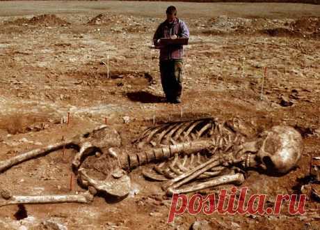 Кости великанов
...Одной из главных сенсаций, в корне меняющих теорию происхождения человека, стало обнаружение многочисленных скелетов великанов по всему миру...