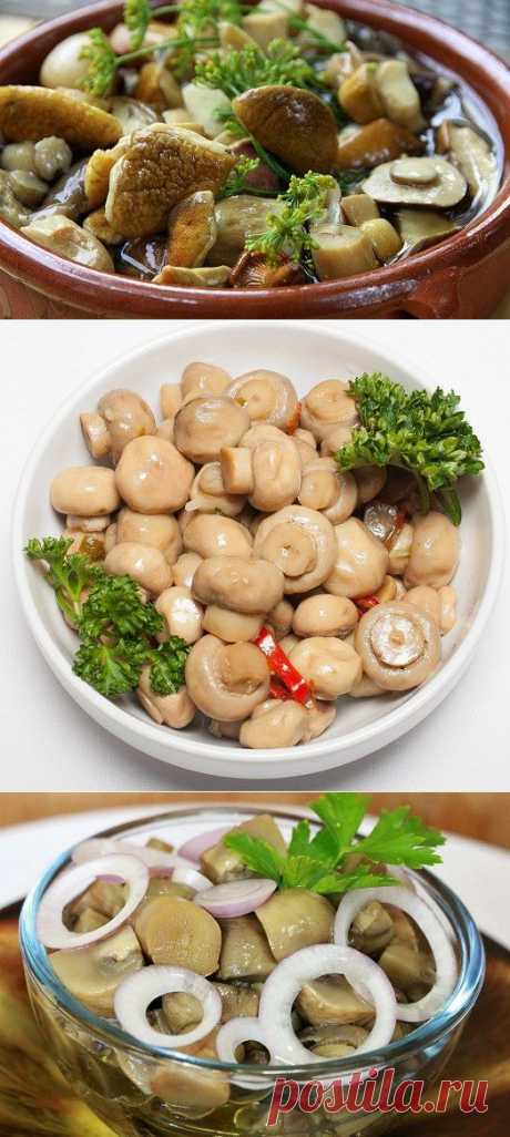Кто не любит ароматные маринованные грибочки? Лучшие рецепты &amp;#8212; Вкусные рецепты