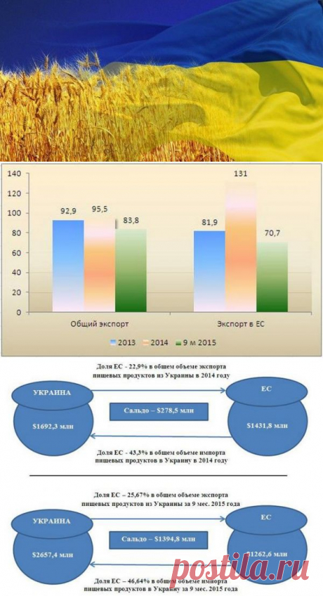 ЕC или Китай: куда бежать украинским аграриям - Финансы