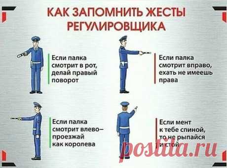 жесты запомнить