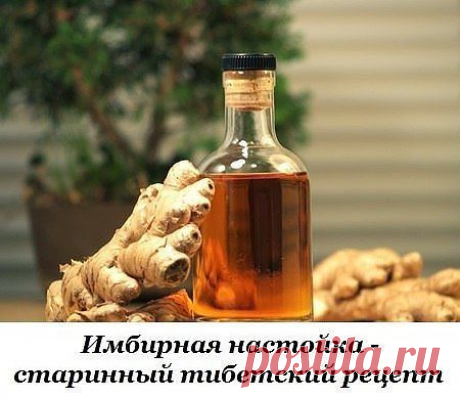 имбирная настойка