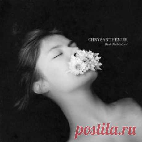 Black Nail Cabaret - Chrysanthemum (2024) Artist: Black Nail Cabaret Album: Chrysanthemum Year: 2024 Country: Hungary Style: Darkwave, Synthpop