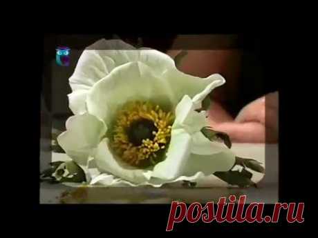 Делаем цветок белого мака из фоамирана (пористая резина). Мастер класс - YouTube