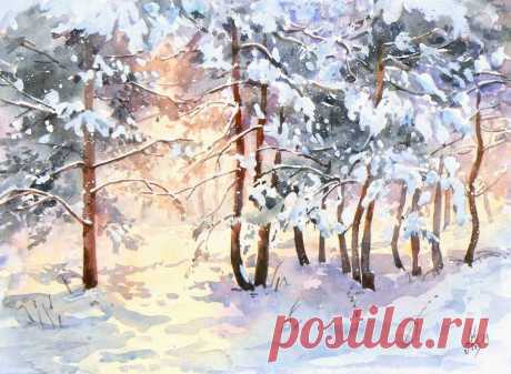 Winter pines by mashami on DeviantArt