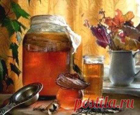 Как запросто вырастить чайный гриб - Простые рецепты Овкусе.ру