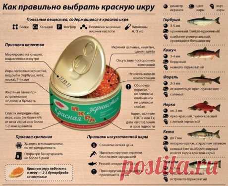 Как правильно выбрать красную икру.