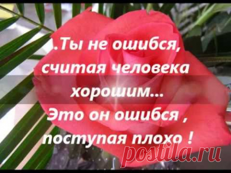 ... МУДРЫЕ МЫСЛИ ... - YouTube