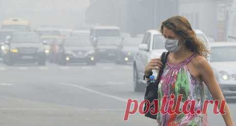 Загрязнение атмосферы существенно повышает риск сердечно-сосудистых заболеваний | Здоровье