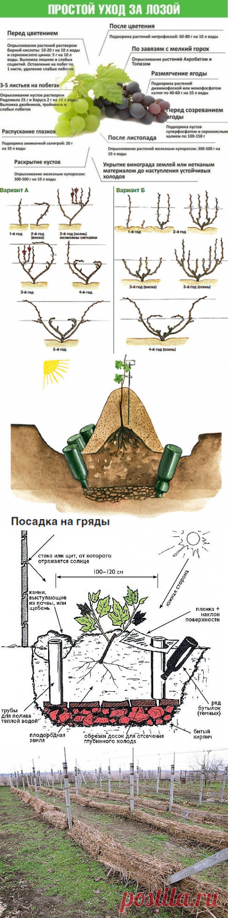 (55) Одноклассники