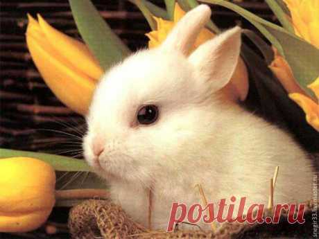 Вышиваем гладью брошь с белым кроликом - Ярмарка Мастеров - ручная работа, handmade