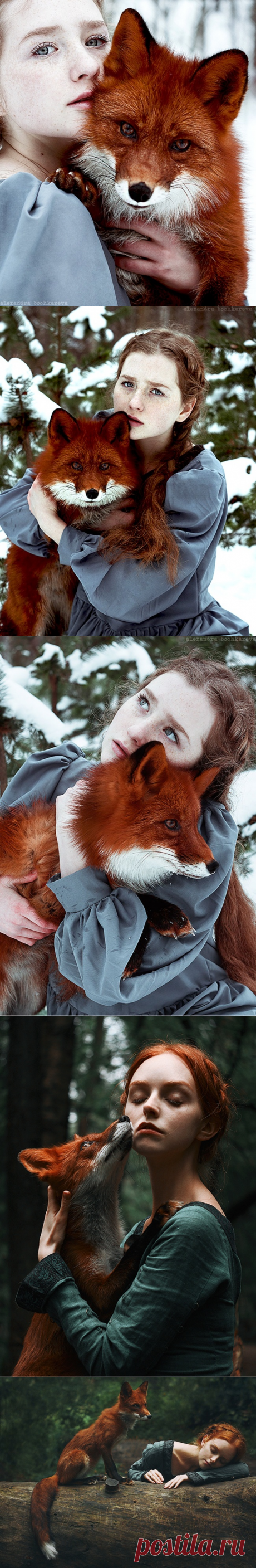 Гипнотические портреты рыжеволосых красавиц и диких лис в зимнем лесу