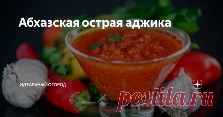 Абхазская острая аджика Абхазская острая аджика может быть как зеленой, так и красной. Ее цвет зависит от выбора сорта перца. Эта закрутка послужит пикантным дополнением ко вторым блюдам из птицы и мяса, а в небольшом количестве ее можно использовать при готовке супов и салатов.
