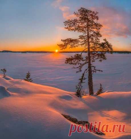 Потрясающий зимний рассвет! ...