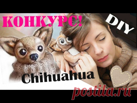 (606) DIY Чихуахуа Chihuahua Игрушка своими руками Конкурс! - YouTube