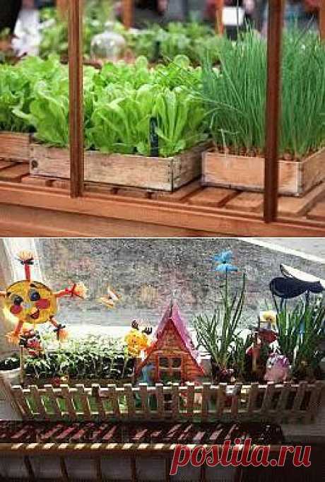 Домашний огород - выращиваем овощи в домашних условиях на подоконнике или балконе.