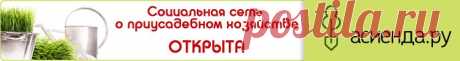 5 симорон ритуалов для привлечения работы – ритуалы, чтоб найти работу: Симорон: Группы - diets.ru