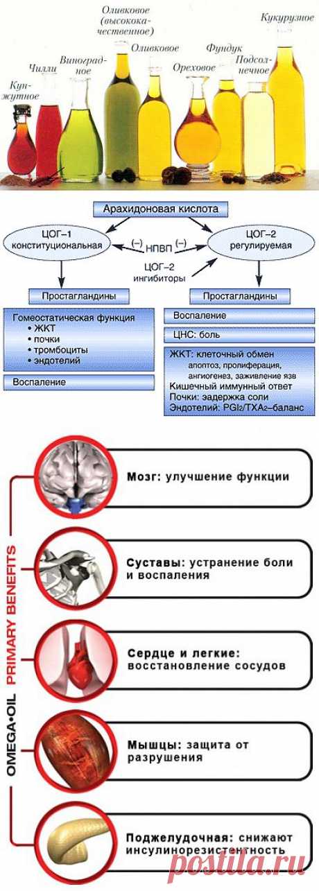 Незаменимые жирные кислоты (витамины F) | ПолонСил.ру - социальная сеть здоровья