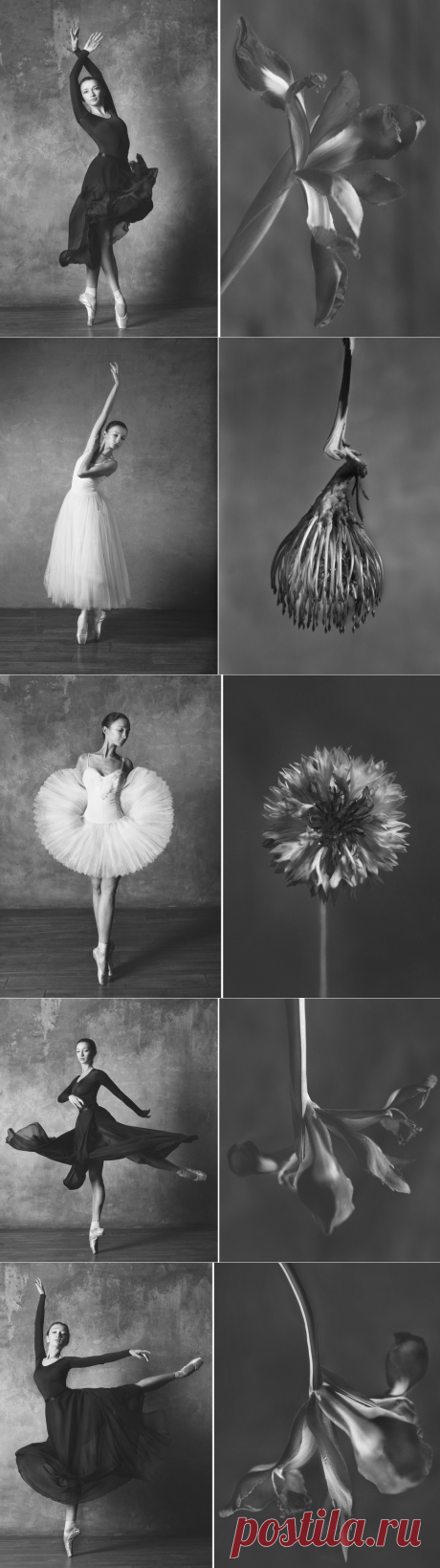 ✨«Балерина и цветы»