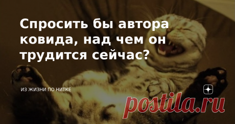 Спросить бы автора ковида, над чем он трудится сейчас? Уважаемые подписчики, спешу поделиться с Вами интересной подборкой смешных двустиший.  *** А при разгоне гей-парадов,
ОМОН стоит спина к спине. *** Ты – словно свет звезды далёкой,
такая ж мелкая фигня. *** Всю ночь не спал после спектакля,
так славно выспался на нём. *** А депутатам разрешили,
переходить на красный свет. *** Он до пожарных дозвонился,
прослушав несколько реклам. *** Мой организм томатным соком,
был не...