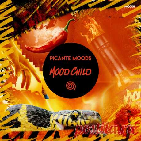 VA - Picante Moods MC008 AIFF » MinimalFreaks.co