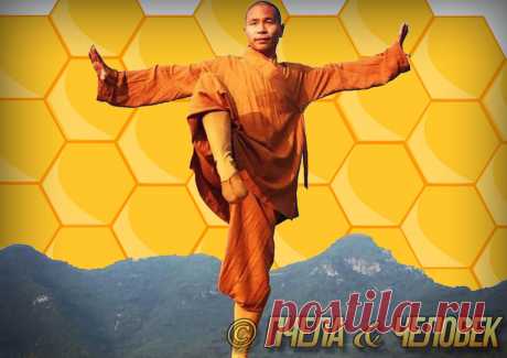 Зачем тибетским монахам в рационе молоко и мёд | Пчела & Человек | Яндекс Дзен