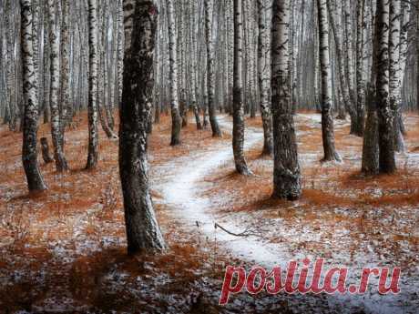 «Первый снег» Фотограф – Григорий Бельцев: nat-geo.ru/community/user/218580
