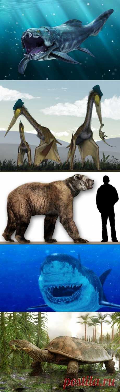 Огромные животные, существовавшие миллионы лет назад - Наука и жизнь