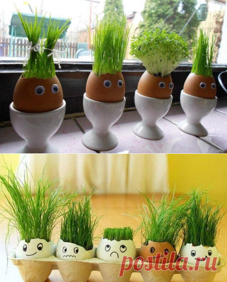 И забава, и польза: "травянчики" в яичных скорлупках. Посадите вместе с детьми | Женские штучки Пульс Mail.ru
