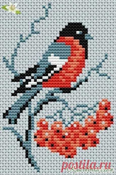 Птицы
Схемы для вышивки или вязания