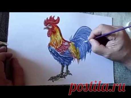 Как нарисовать петуха карандашом поэтапно