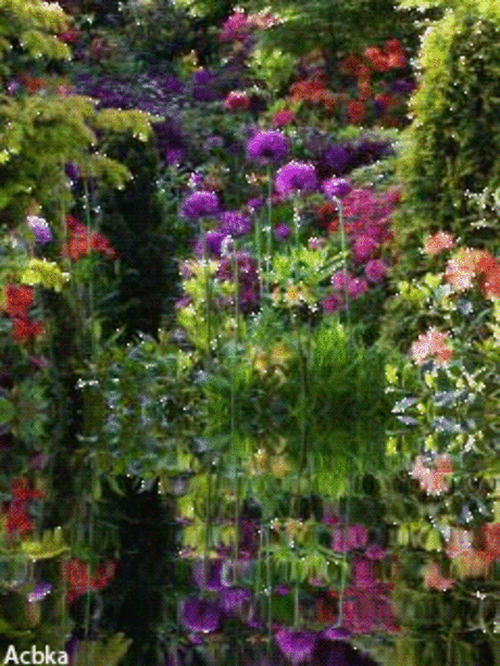 GIFS HERMOSOS: flores encoontradas en la web