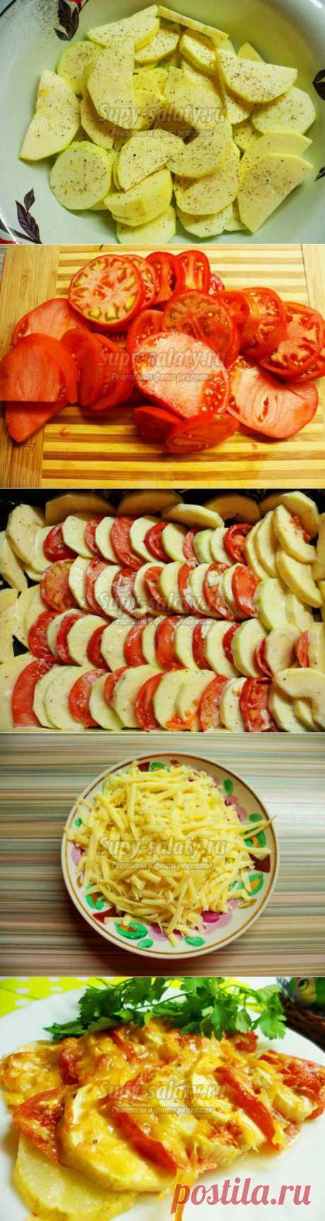 Запеканка из кабачков с помидорами под сырной корочкой
