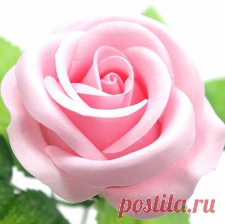 50 pcs SOAP bulk roses(SPECIAL) with beautiful scent!! Wholesale flowers,flower soaps,artificial flowers,house decoration,rose soap Before order, please read all the policy on our shop. Thank you. ------------------------------------------------------------------------------------ *Type of rose - SPECIAL*  *WHOLESALE / FREE SHIPPING!!*  [NEW ARRIVED!!!] These new arrival items, Special roses are bigger than Best roses and has alot more petals so the rose looks much more el...