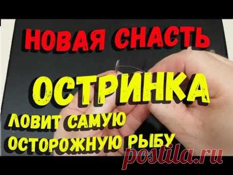 Новая снасть Остринка для ловли осторожной рыбы