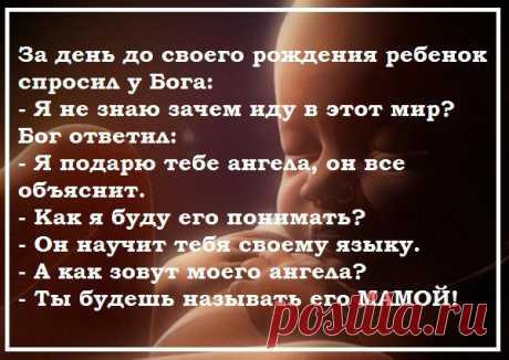 Siar: Не стоит прогибаться под изменчивый мир!!! Пусть лучше он прогнется под нас!!!