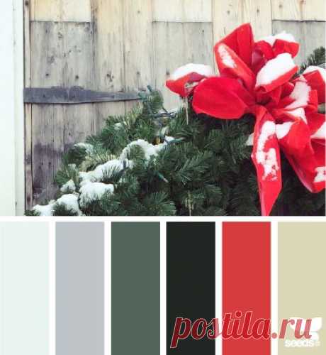 design seeds | holiday hues | for all who ♥ color