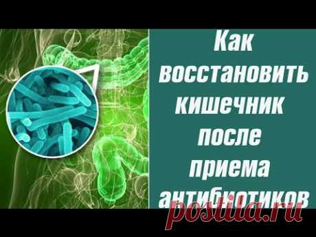 Как восстановить организм после антибиотиков?