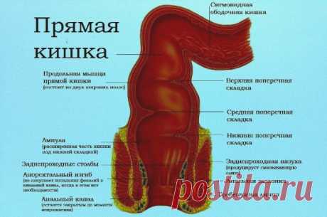 Болезни прямой кишки: симптомы заболеваний заднего прохода у человека