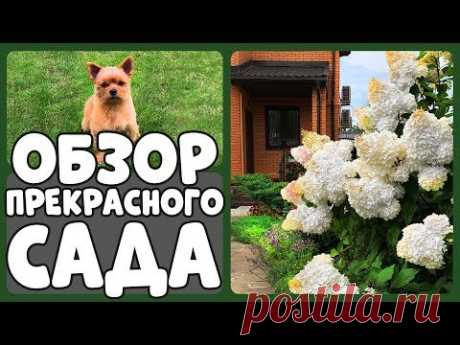 НА ЭТО СТОИТ ВЗГЛЯНУТЬ! Райский сад Людмилы Кудасовой 🌸