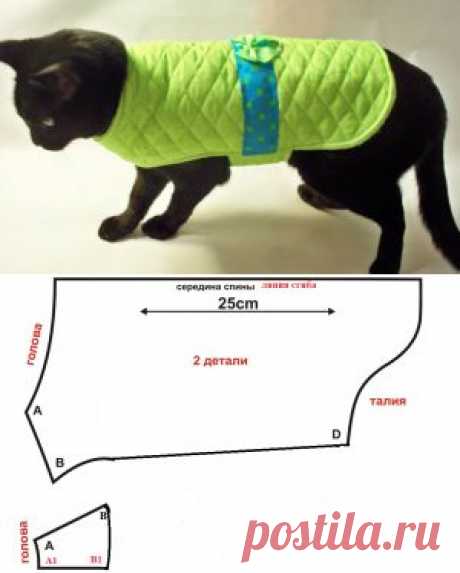 Выкройки одежды для кошек: Теплая попона | Донской Сфинкс Крысик