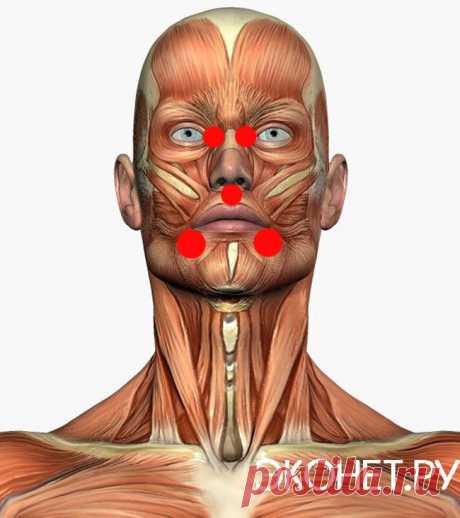 5 точек вместо таблеток: для печени, сердца и дыхания