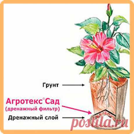 Дренажный фильтр для горшечных растений с УФ, d=120 мм, 10 шт.