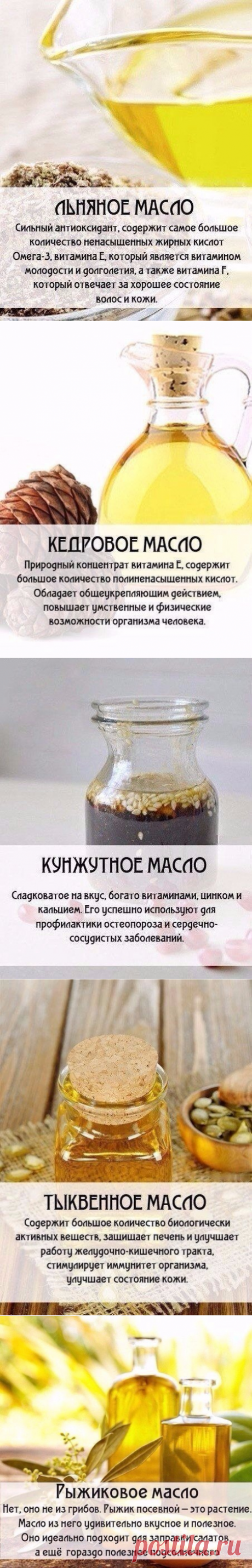 Вкусно и полезно. Растительные масла