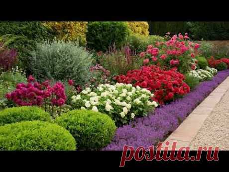 Flower garden for garden planning and inspiration. Ідеї створення композицій