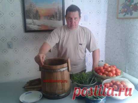 Как солить помидоры в бочке | Видеоблог "Огород - сад Медведевых"- видео, статьи, фото, отзывы