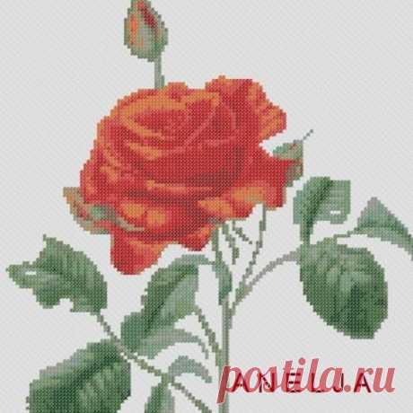 Схема для вышивки крестом - Роза алая - Каталог рукоделия #186600