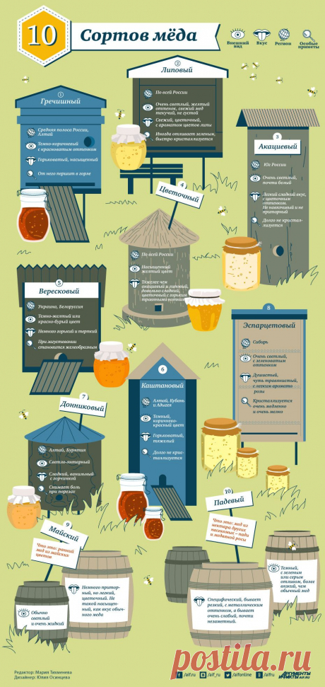 Виды мёда и их особенности. Инфографика.