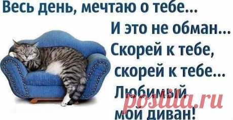 Новости